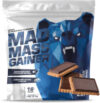 Гейнер Mad Mass Gainer / MG019 21век