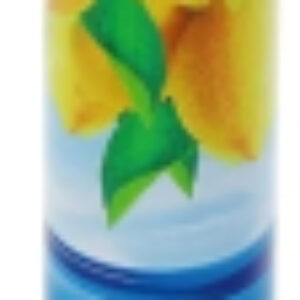 Освежитель воздуха Лимон 21век