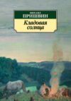 Книга Кладовая солнца 21век