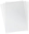 Пленка для ламинирования Mic Gloss 65x95/175 21век