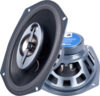 Коаксиальная АС MS-693 21век