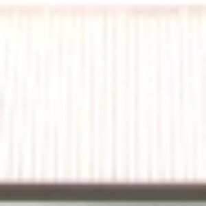 Салонный фильтр NF6465 21век