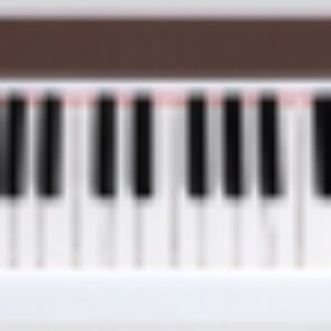 Цифровое фортепиано NPK-10-WH 21век