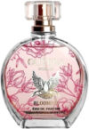 Парфюмерная вода Olivera Blooming 21век