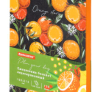 Ежедневник Orange Story / 112018 21век
