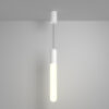Потолочный светильник Pendant P101PL-L500-12W3K-W 21век