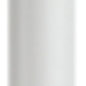 Потолочный светильник PL16 WH / Б0055573 21век