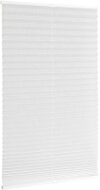Штора-плиссе Plain Transparent СПШ-3504 21век