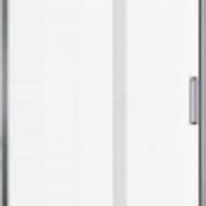 Душевая дверь Pleasure Evo 100 / AE65-N100-CT 21век