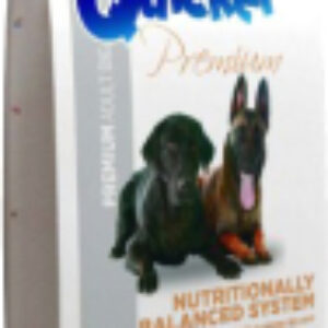 Сухой корм для собак Premium Adult Big 21век