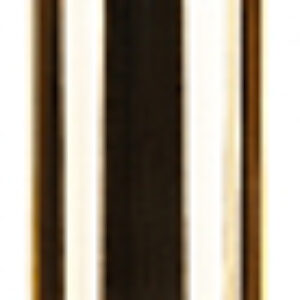 Помада для губ Premium Gold тон 308 21век