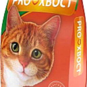 Сухой корм для кошек С говядиной 21век