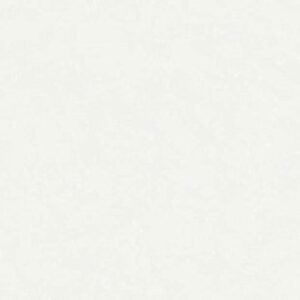 Виниловые обои R135131 21век