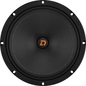 Среднечастотная АС Raven 200 V.2 21век