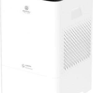 Мойка воздуха RAW-AU350/5EW-WT 21век