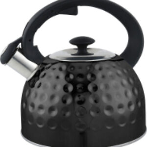 Чайник со свистком RL-2504 21век