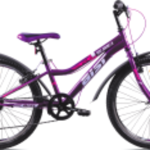 Велосипед Rosy Junior 1.0 24 2024 21век