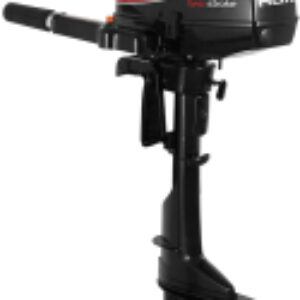 Мотор лодочный R-Series T 4 BMS 21век