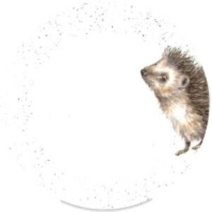 Тарелка столовая обеденная Забавная фауна Еж / RWC WNB4077-XB-Hedgehog 21век