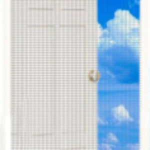 Москитная сетка на дверь RZ84-37 21век