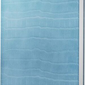 Ежедневник Savage. Небесный / ЕКС52512804 21век