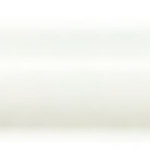 Лампа SBL-T8-10-64K-A 21век