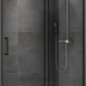Душевая дверь Schwarzer Diamant AG30100B5 21век