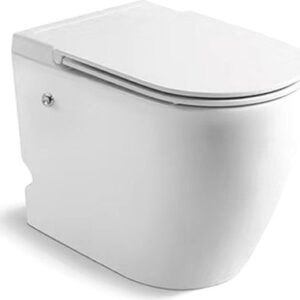 Унитаз приставной Sella Pulse CT10198 21век