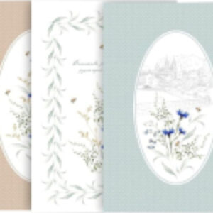 Набор полотенец Set-3 Васильки 414001 21век