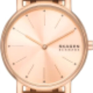 Часы наручные женские SKW3125 21век