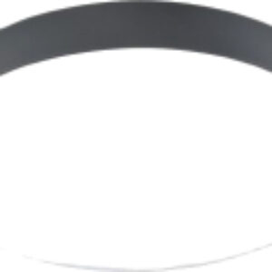 Потолочный светильник SL-41048/400-60W BK 21век