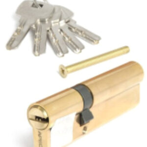 Цилиндровый механизм замка SM-100(35/65)-G 21век