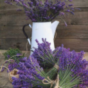 Картина Лавандовый натюрморт 21век