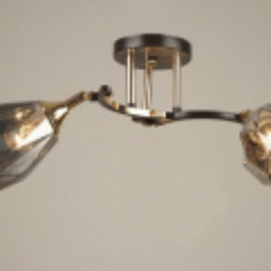 Потолочный светильник SX-4514/2 21век