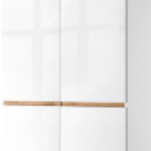 Шкаф Taurus 2DGH 21век