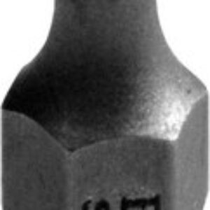 Набор бит Torx 6x25мм S2 / BG2385 21век