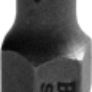 Набор бит Torx T40Hx25мм S2 / BG2395 21век