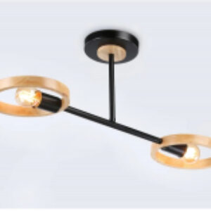 Потолочный светильник Traditional TR8244/2 BK/LWD 21век