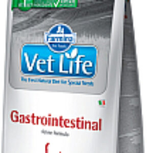 Сухой корм для кошек Vet Life Gastrointestinal 21век