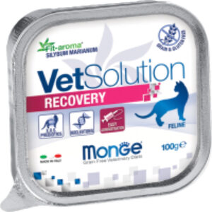 Влажный корм для кошек Vet Solution Recovery 21век