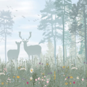 Фотообои листовые Утренний лес 21век