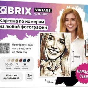 Картина по номерам Vintage 40031 21век