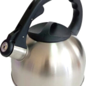 Чайник со свистком VS8821 21век