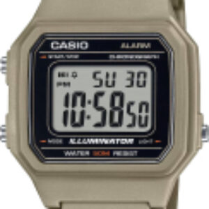 Часы наручные мужские W-217H-5A 21век