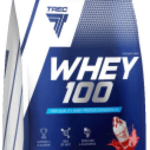 Протеин Whey 100 21век