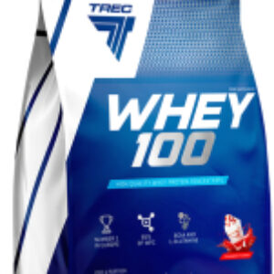 Протеин Whey 100 21век