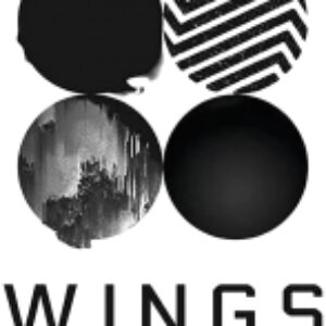 Картина на стекле Wings ID003 21век