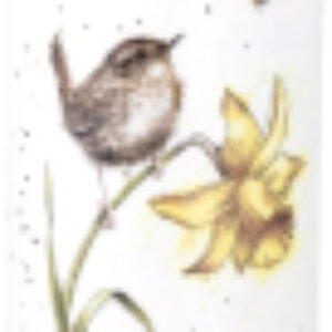 Емкость для хранения Забавная фауна Крапивник / WN4386-XL 21век