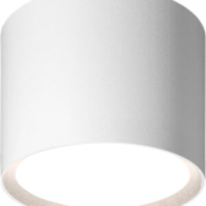 Точечный светильник WSL-GX53/01W 21век