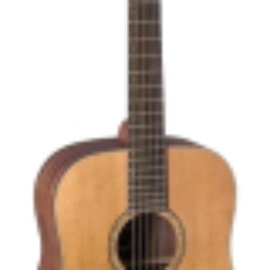 Акустическая гитара X11C/D 21век